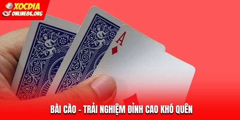 Bài cào